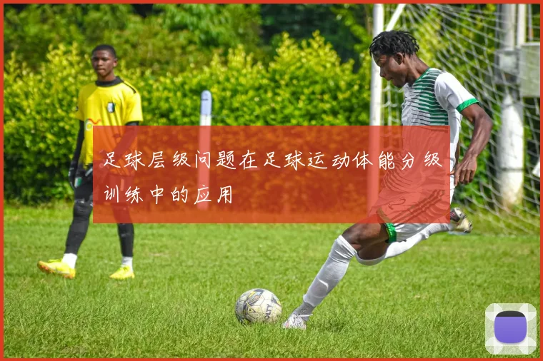足球层级问题在足球运动体能分级训练中的应用