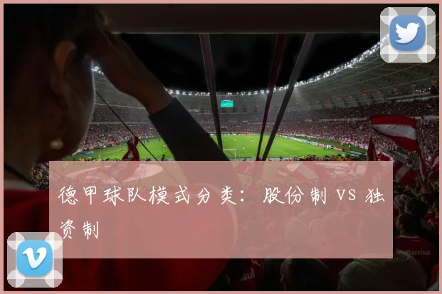 德甲球队模式分类：股份制 vs 独资制