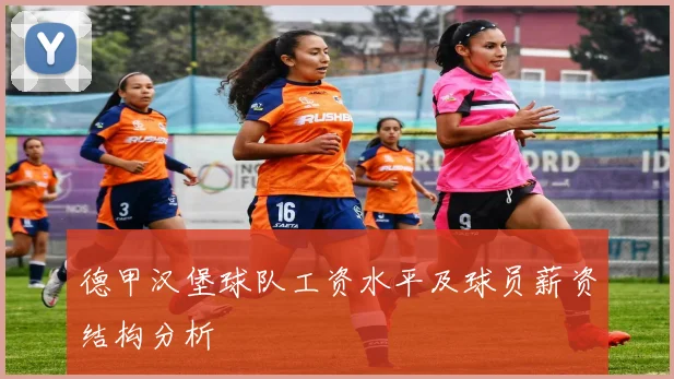 德甲汉堡球队工资水平及球员薪资结构分析