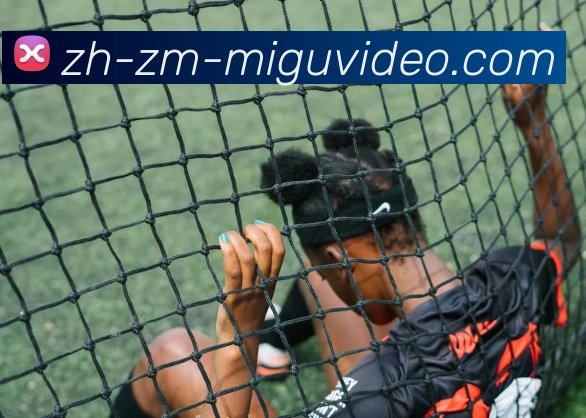 咪咕体育平台生态图